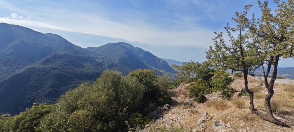 paso-2