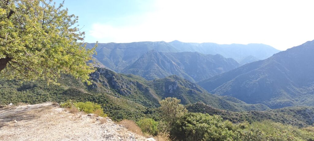 paso-2